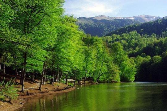 Petit Dilijan Bed & Breakfast Bagian luar foto